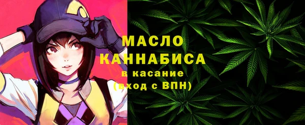 спиды Вяземский